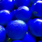 Blue Oranges at Grand Lake Farmers Market - photostudio app